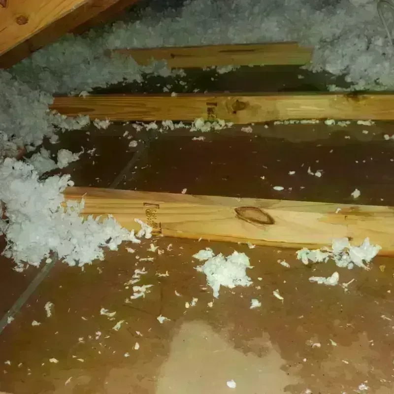 Attic Water Damage in Hillsboro, ND