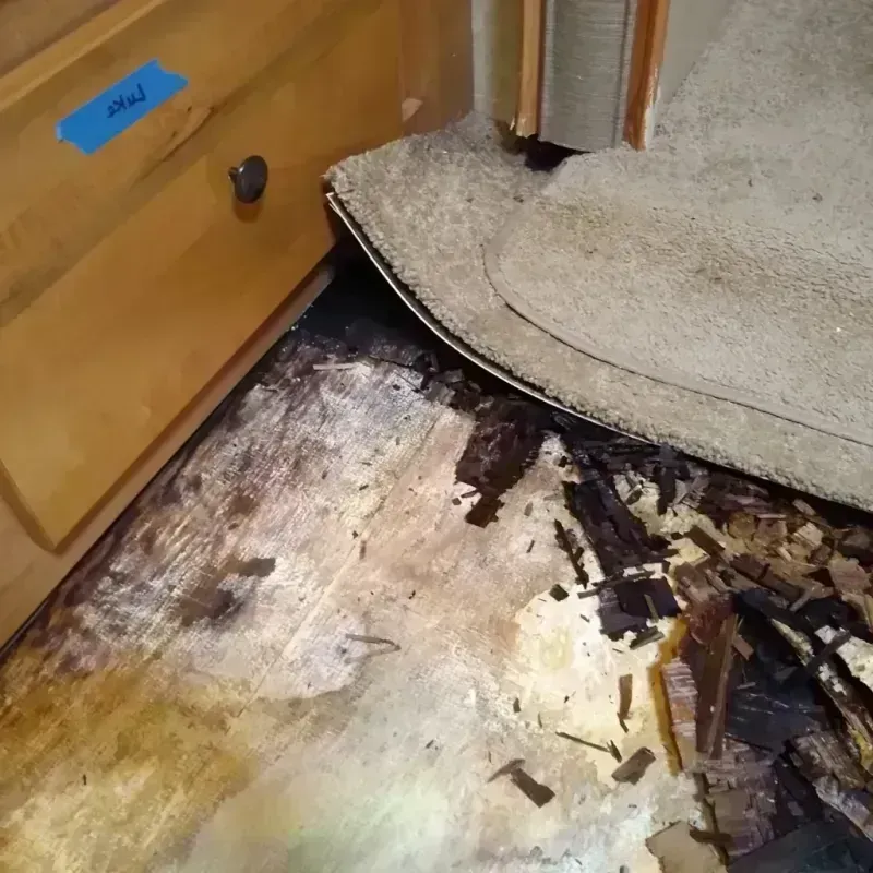 Wood Floor Water Damage in Hillsboro, ND